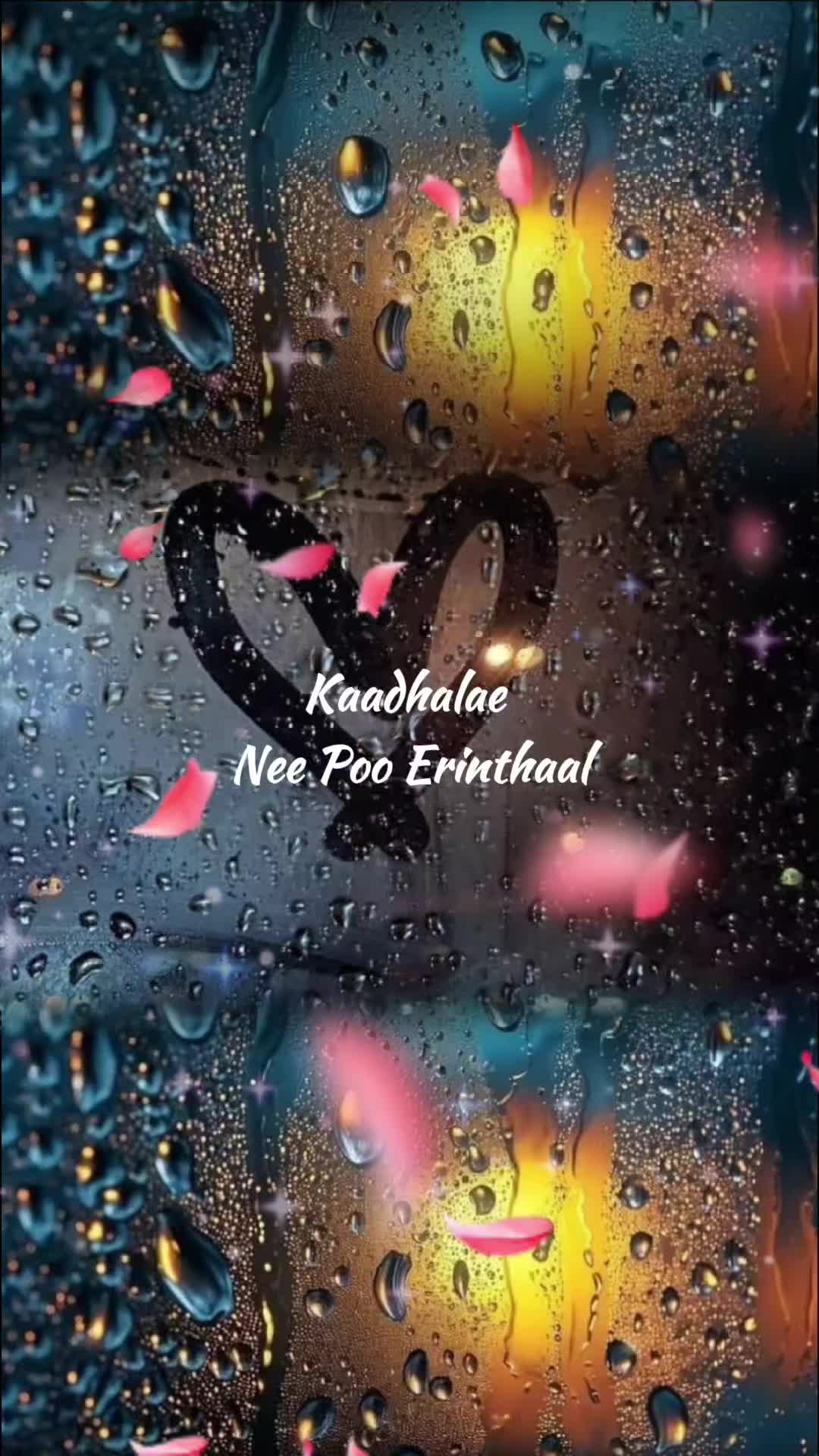@❤️✨