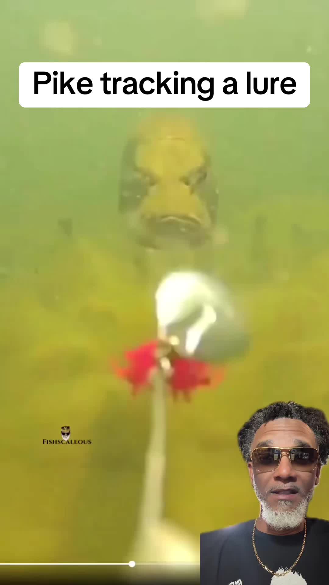 @Fishscaleous