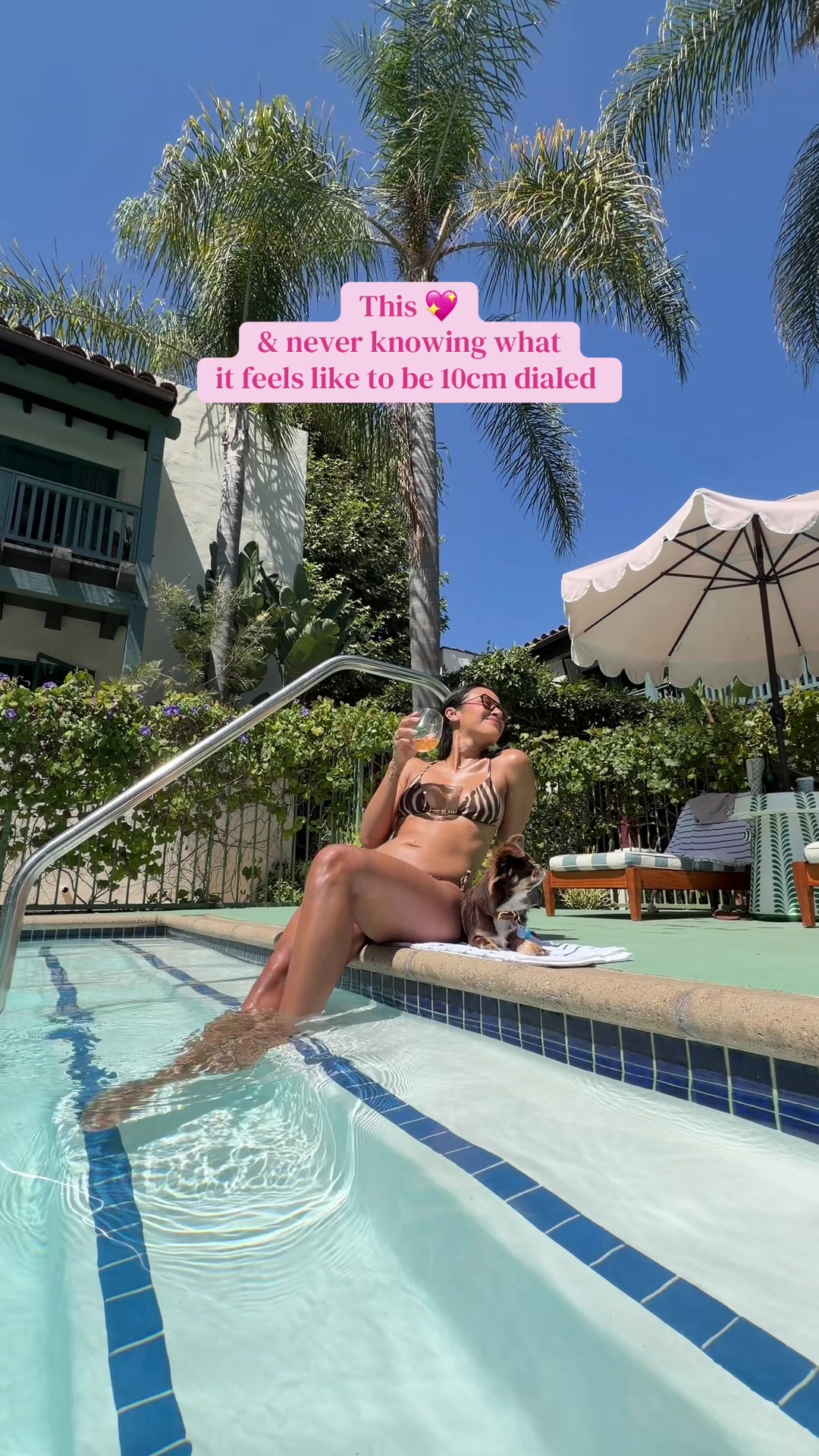 @Ms. Patron