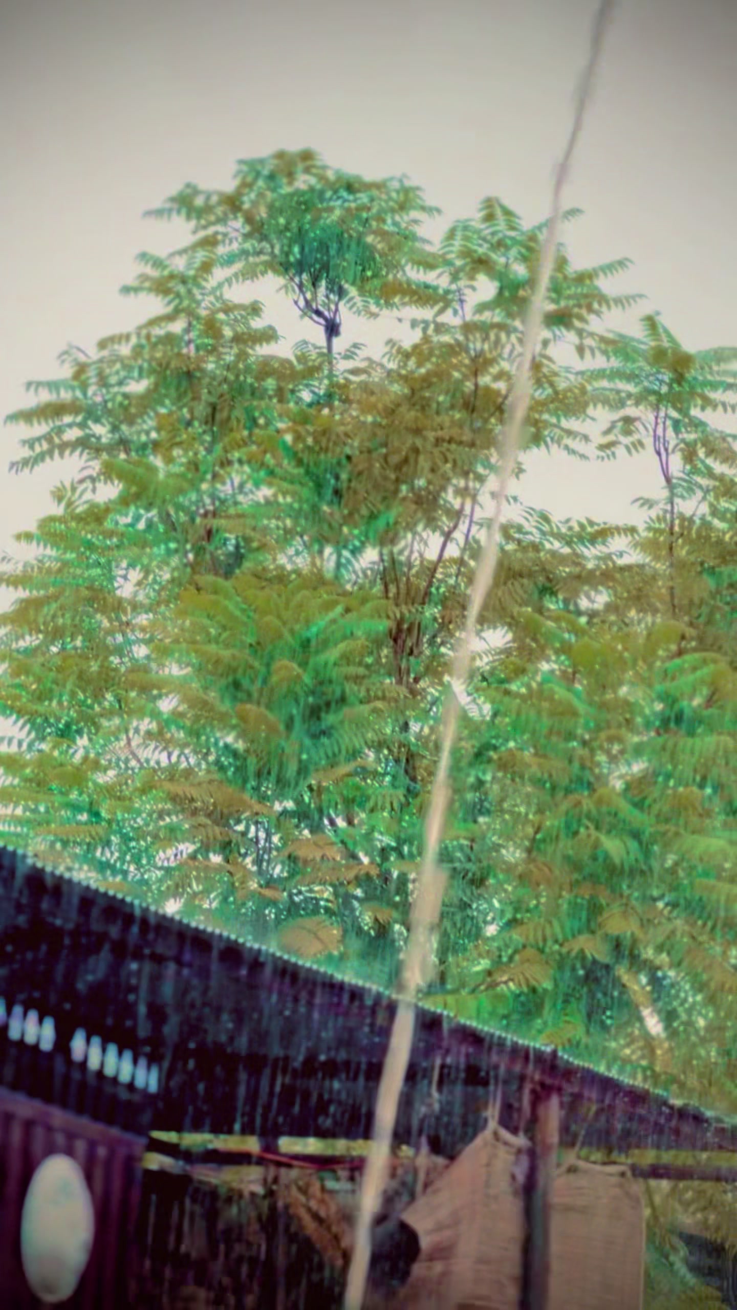 @🤬 Ayash_QasimOo 👅