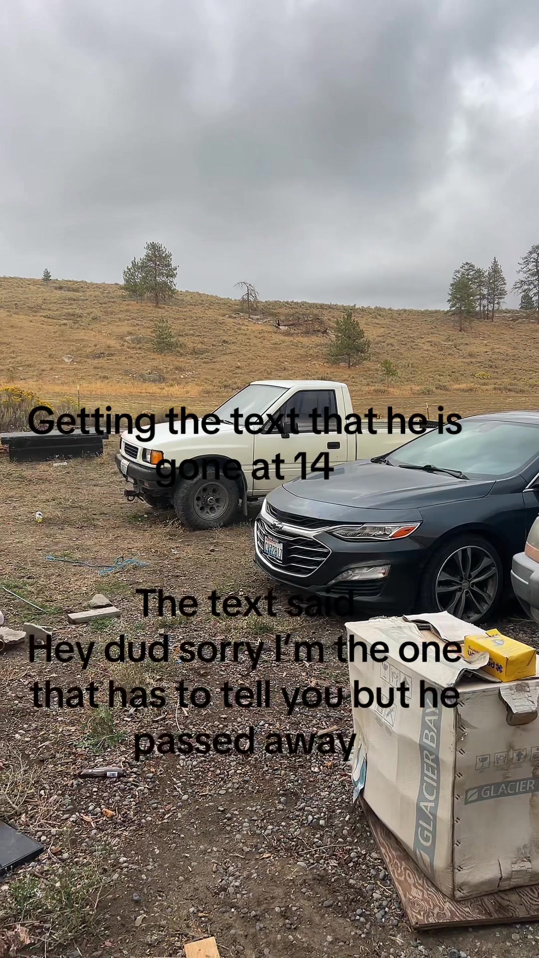 @lanenelson12