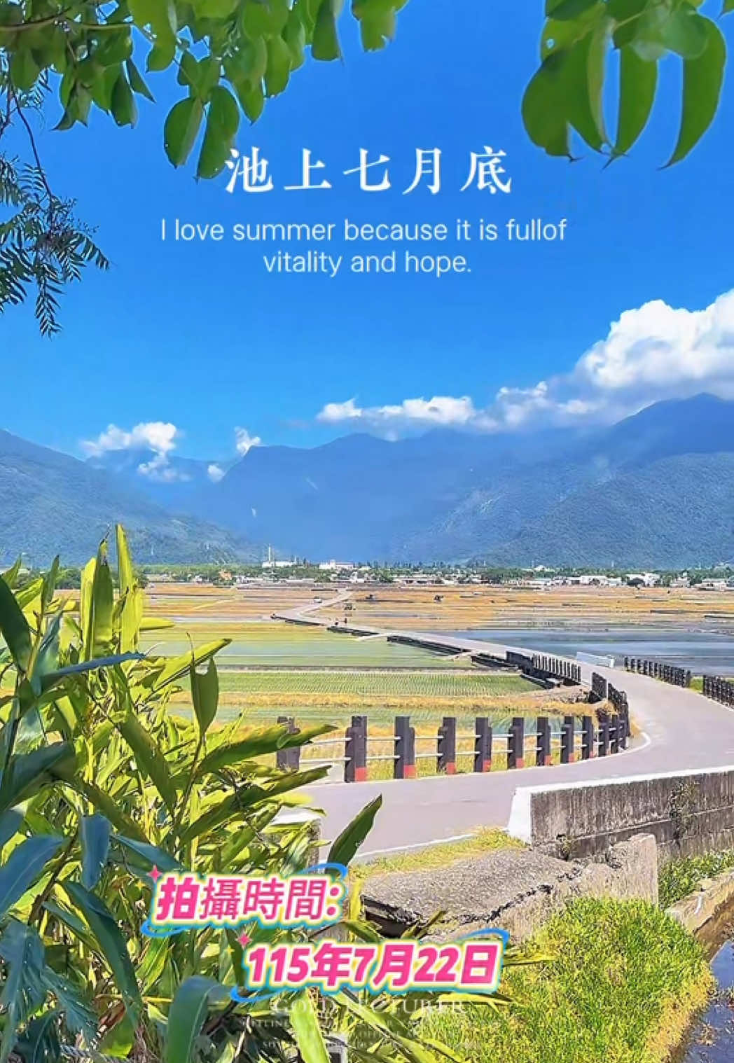 @美娴（華鼎自行車出租店）