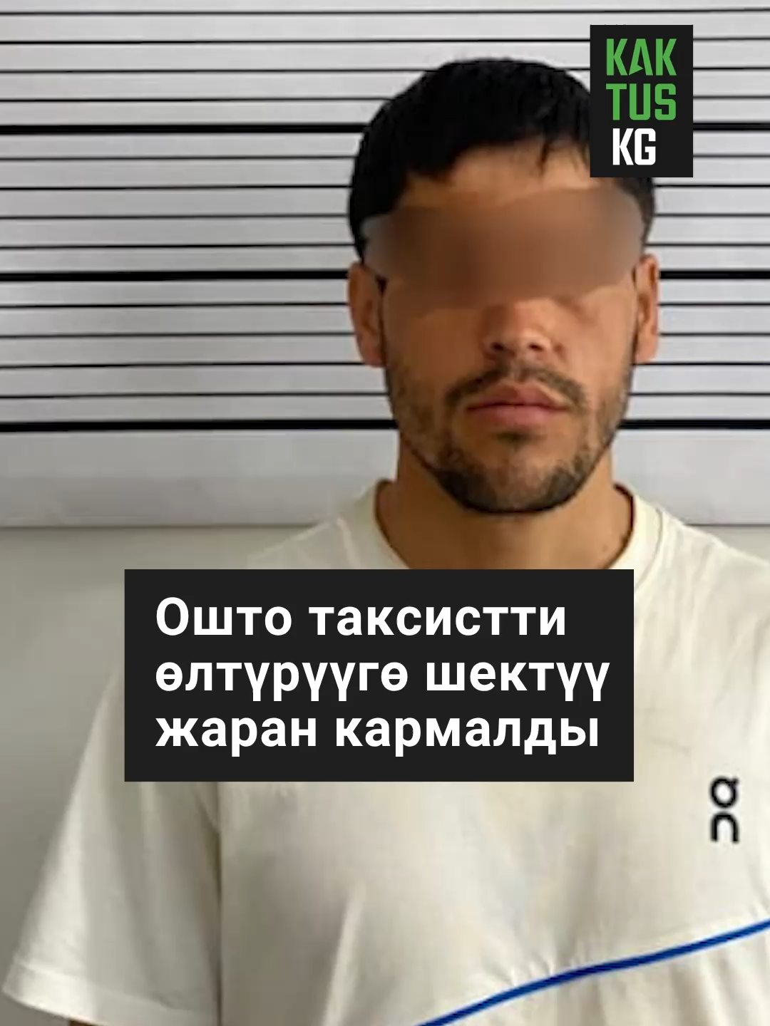 @Kaktus KG