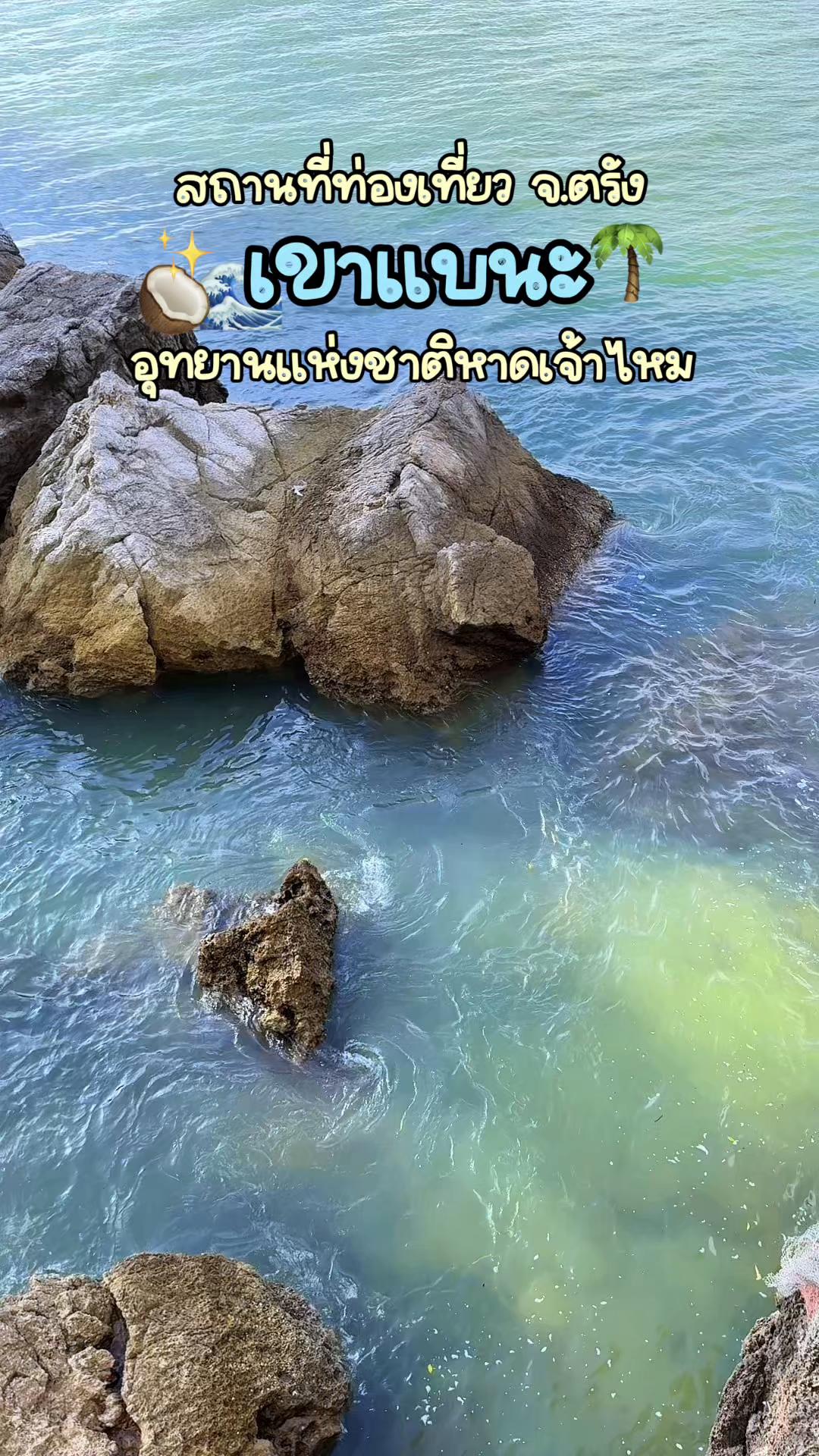 @𐙚 ̊ เดียร์ที่อยากรวย(1.2K)ᢉ𐭩
