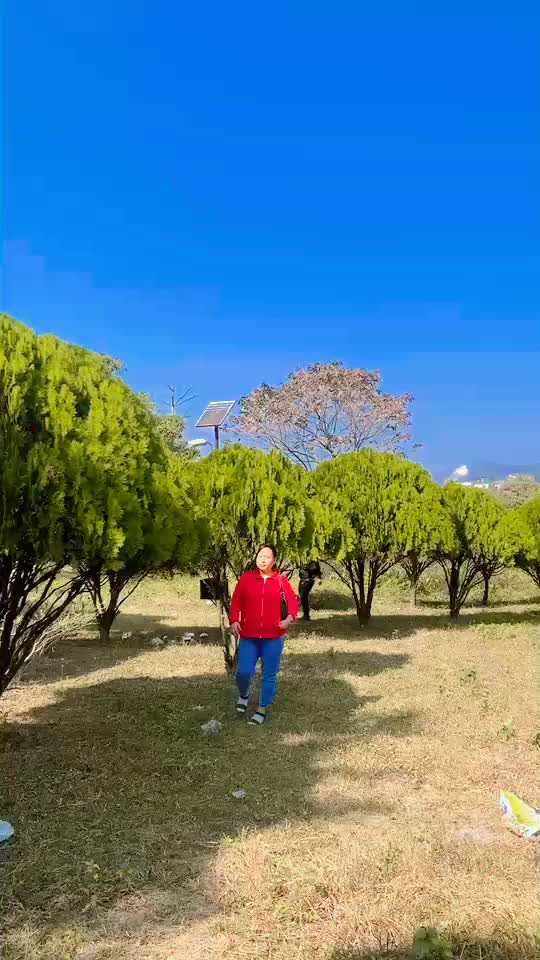 @Sashi_Lama