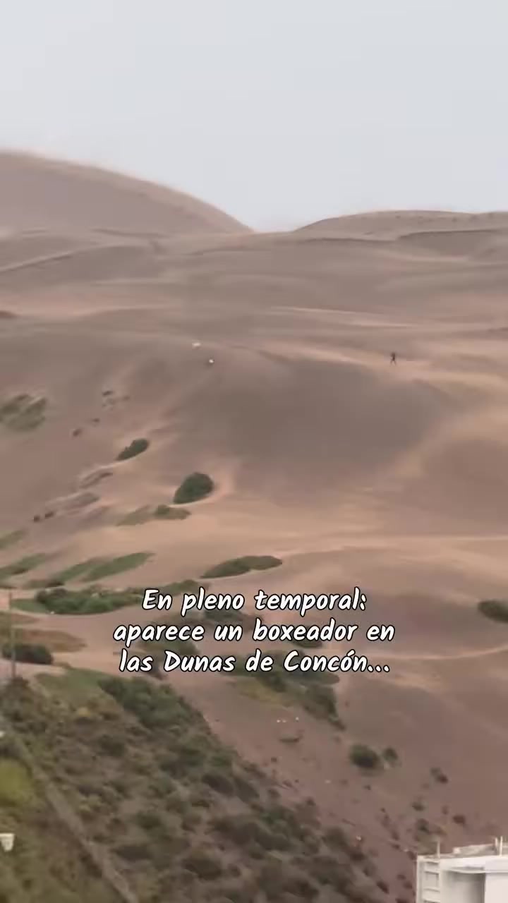 @héctorurista89
