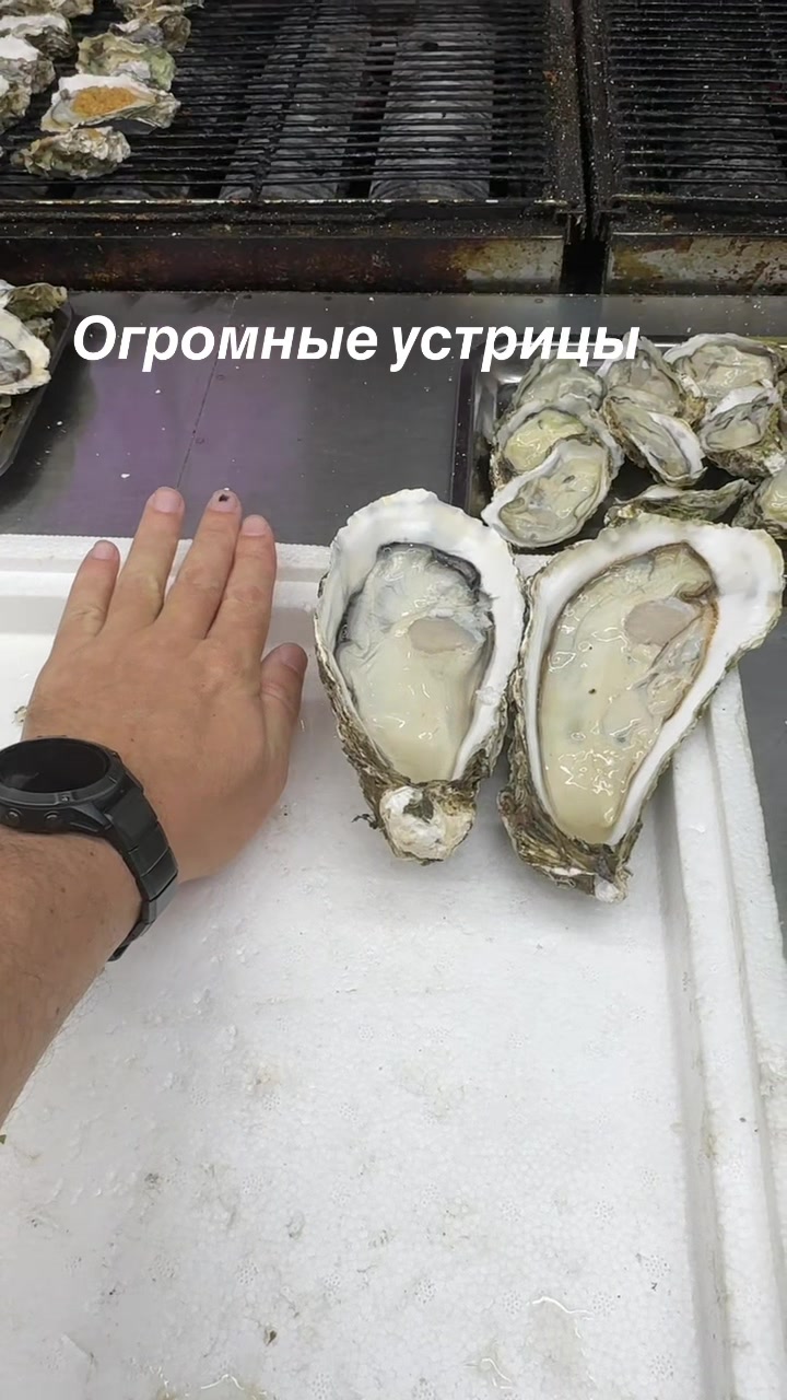 @Александр