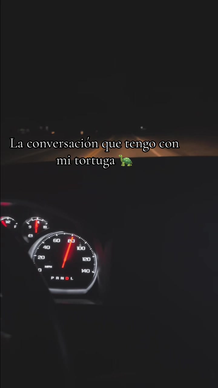 @🐢Astrita🐢