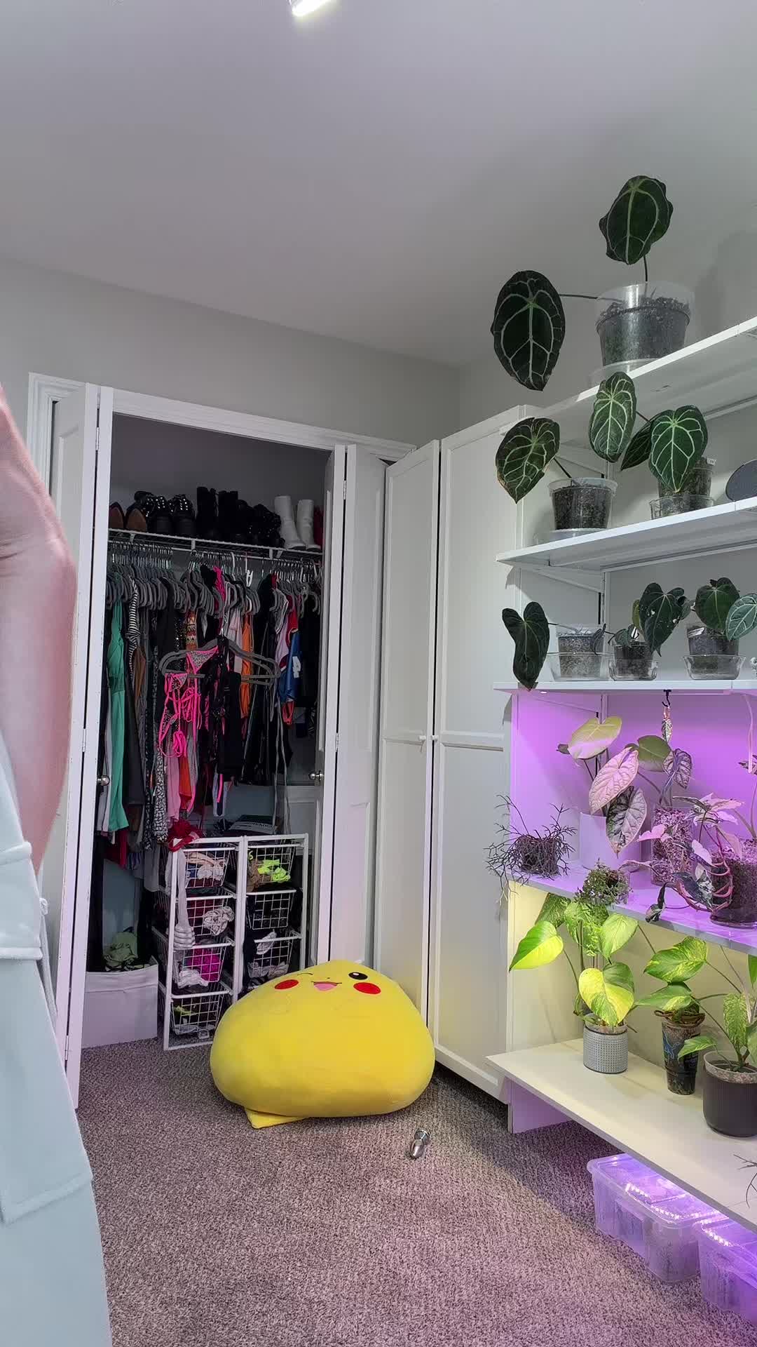 @Abbylynn