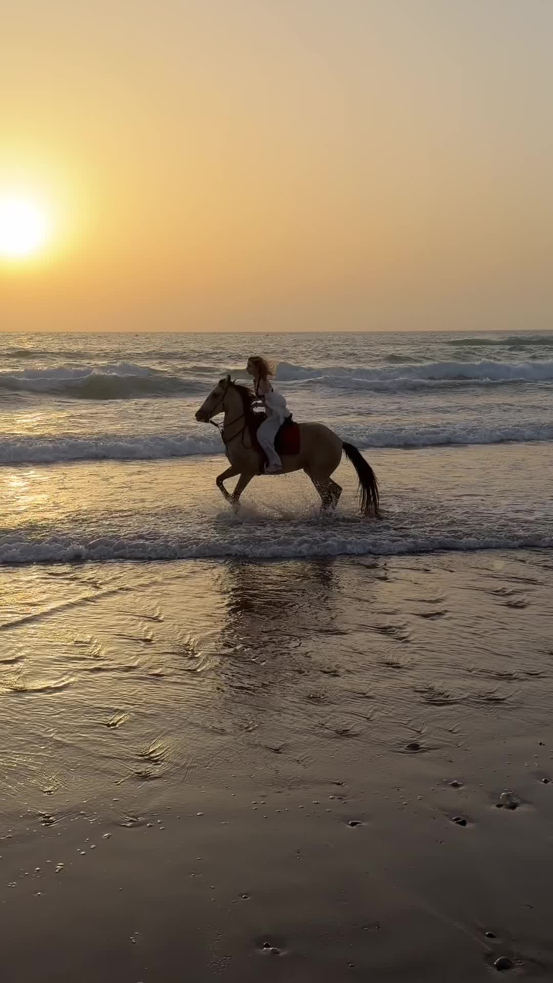 @Cheval_agadir