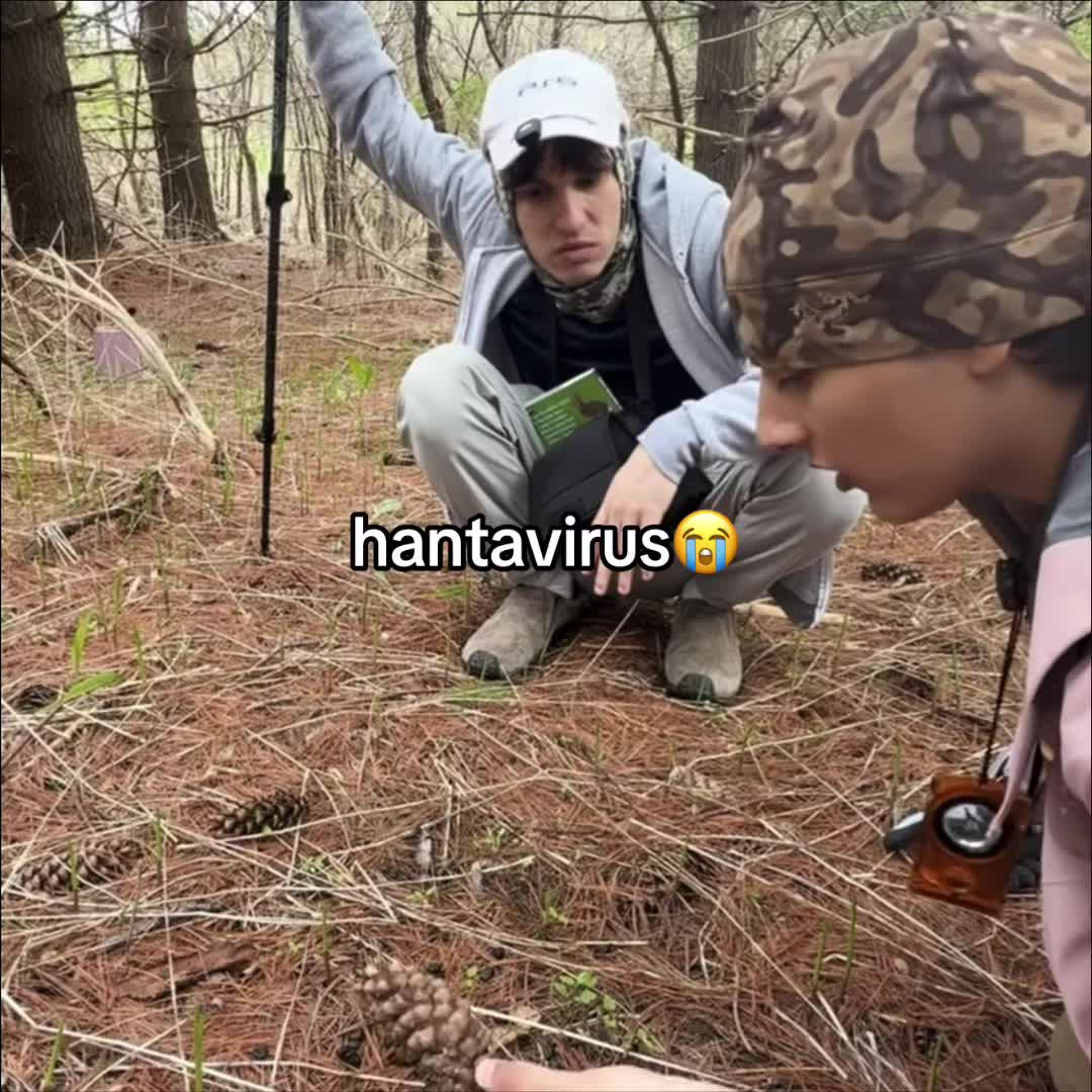 @drakesturniolo