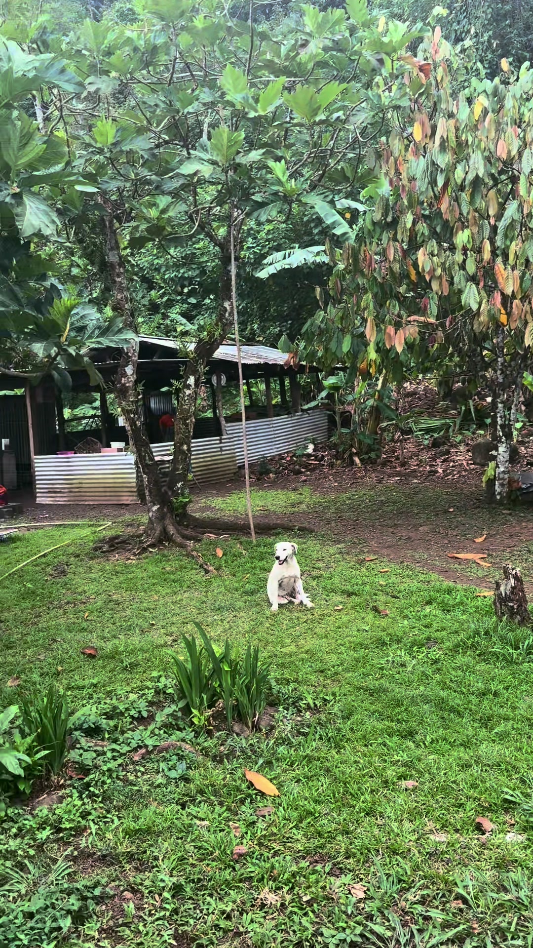 @🦋 LŪ 🦋