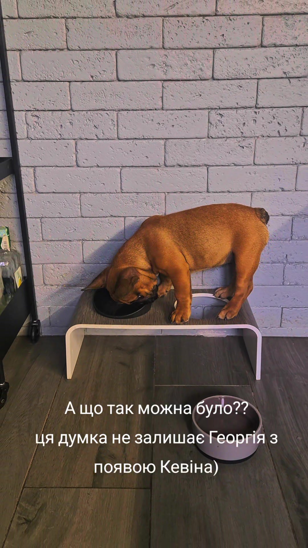 @Олена Ісаченко
