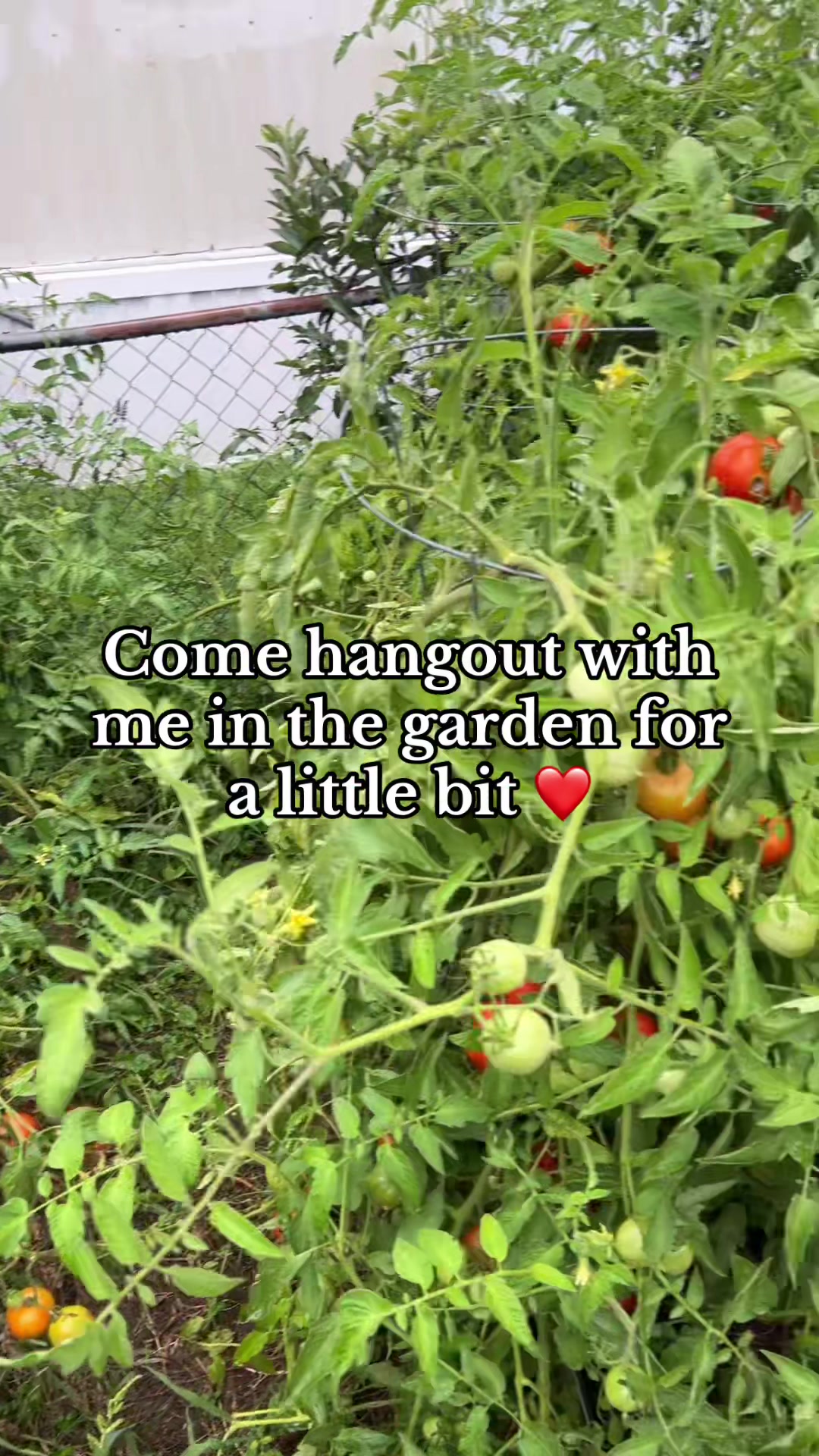 @TheEllisIsland17