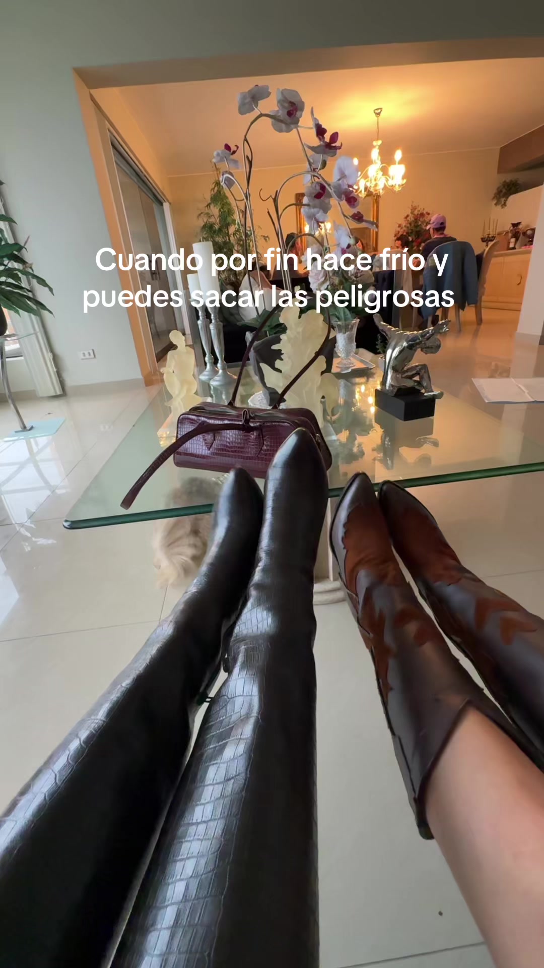 @Mayragarciaaqui