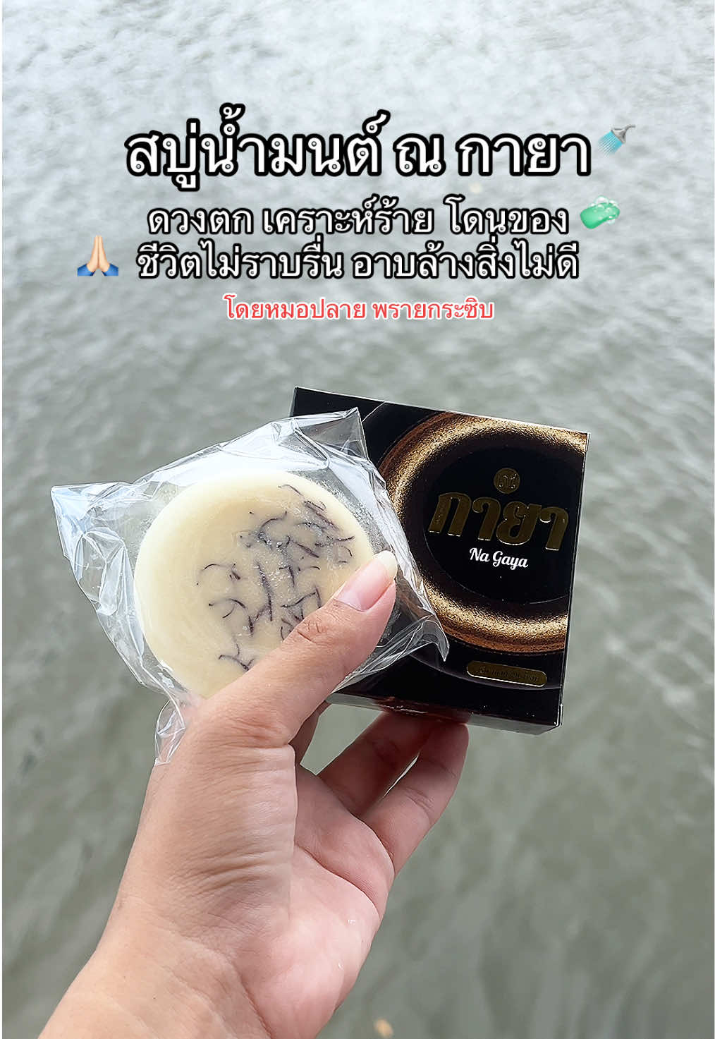 @รีวิวทุกอย่างที่ขวางหน้า.🪄