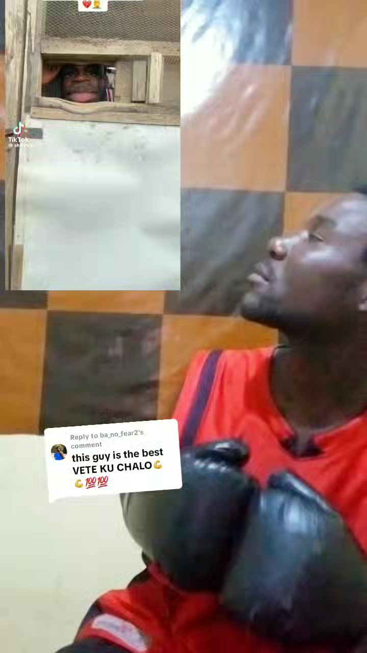 @VETE  comedy