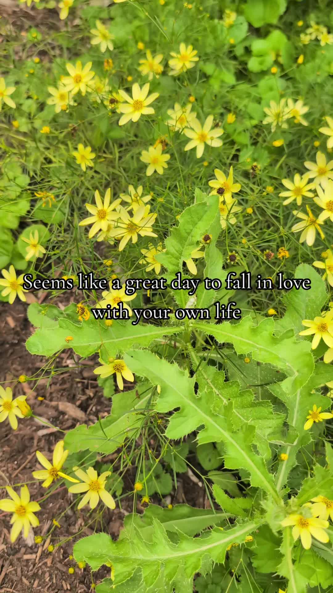 @MayersMusings