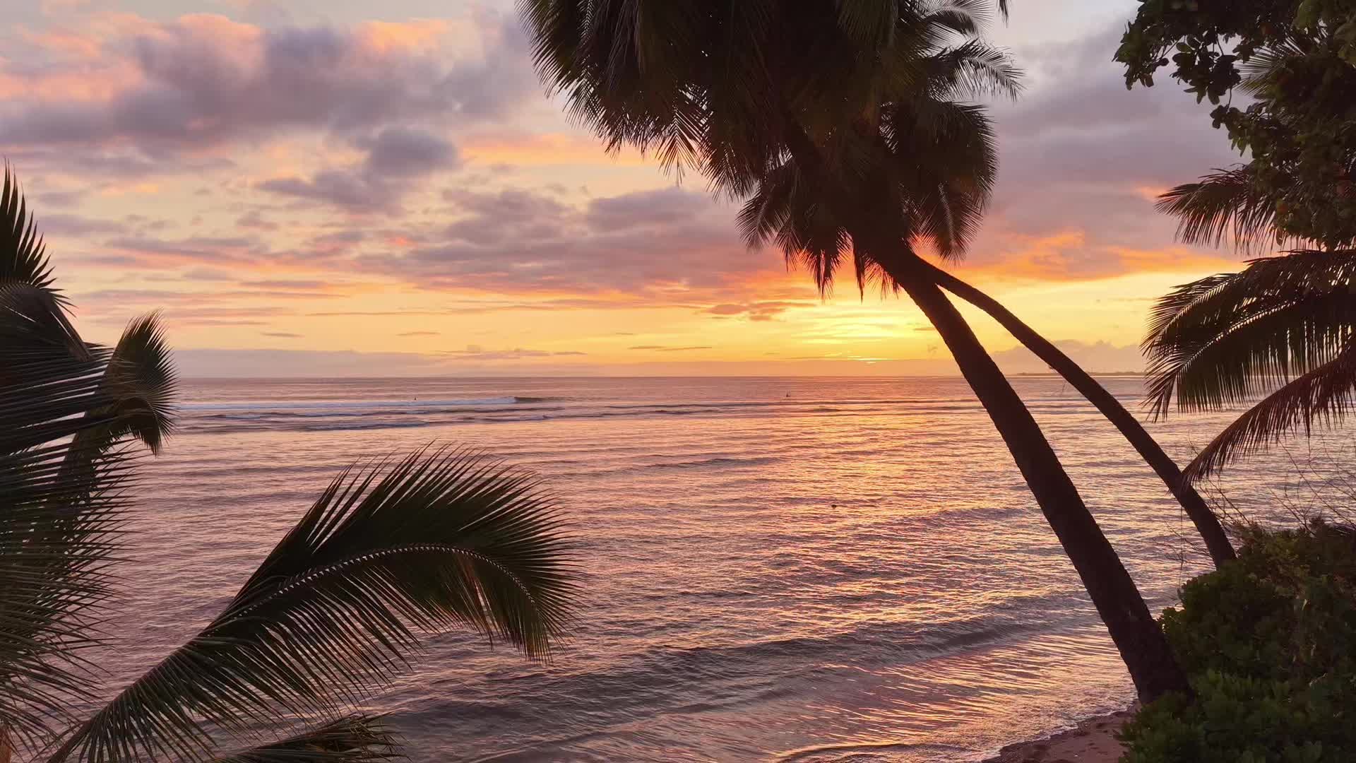 @fatsokauai