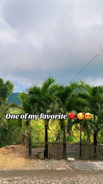 @973Ann