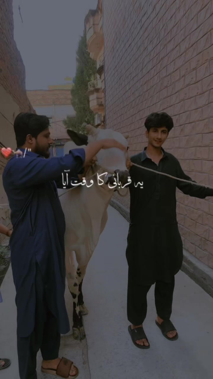 @نبیل راجپوت🔥