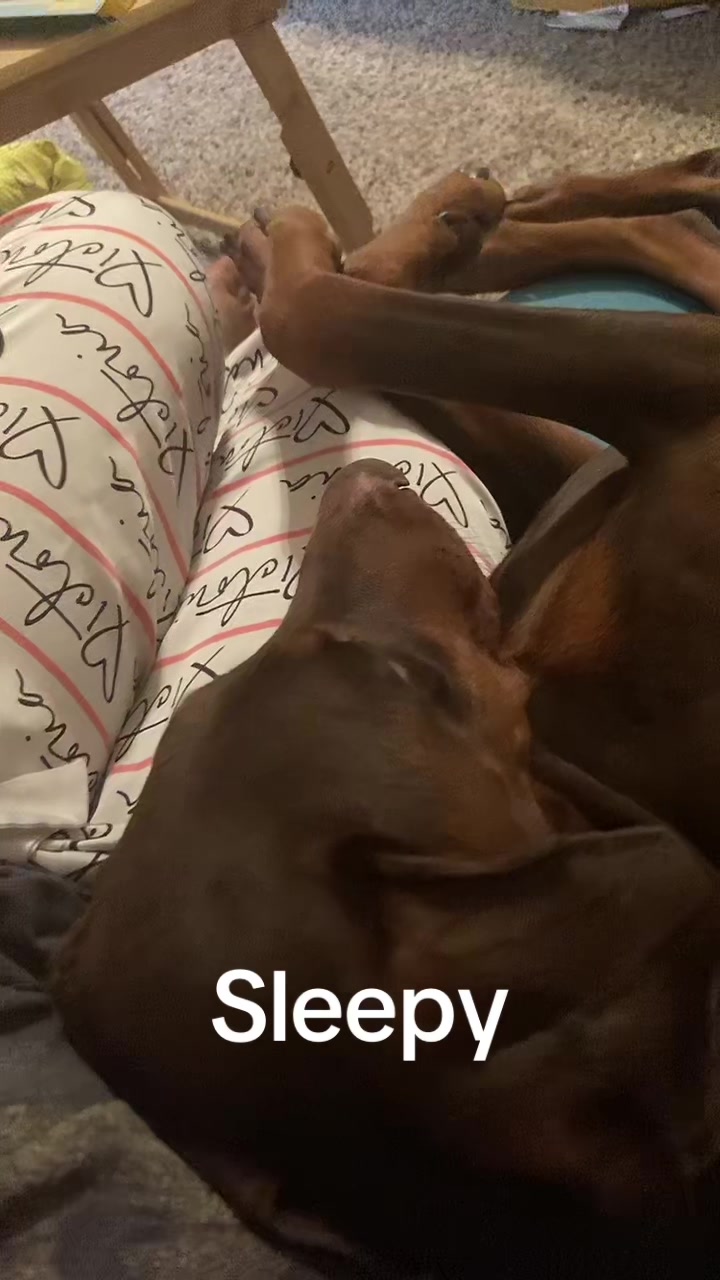 @🦓🦓🦎🦓🦓