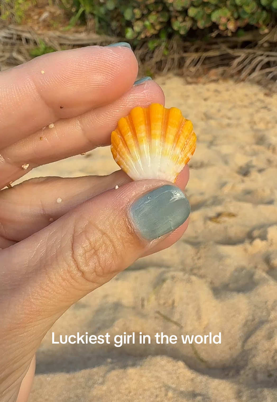 @Islandshells
