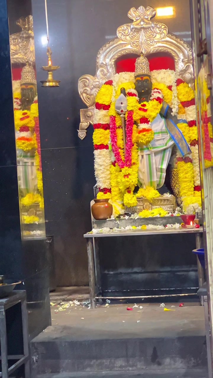 @மலர் 🦋✨