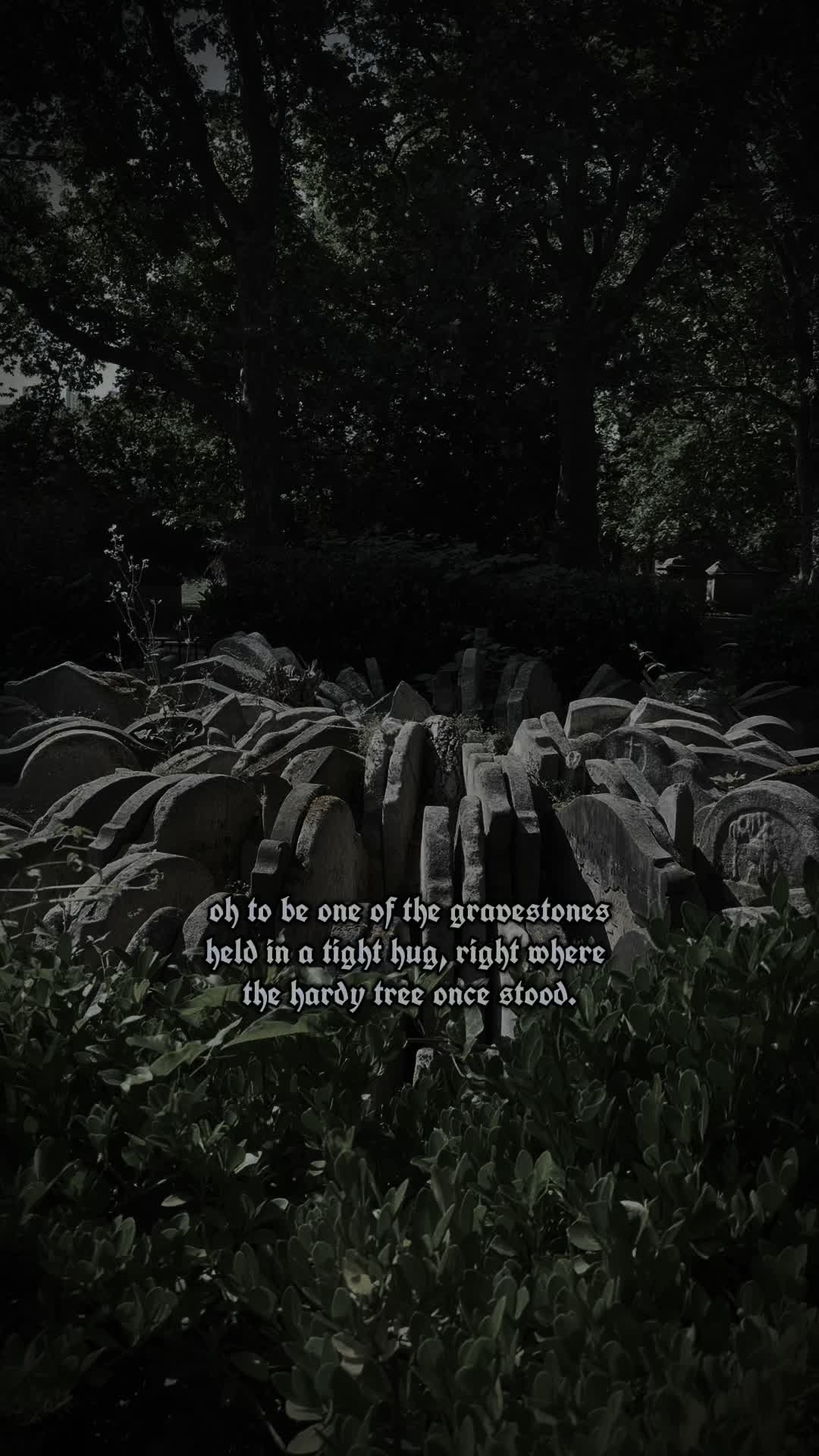 @𝔊𝔦𝔲𝔩𝔦𝔞