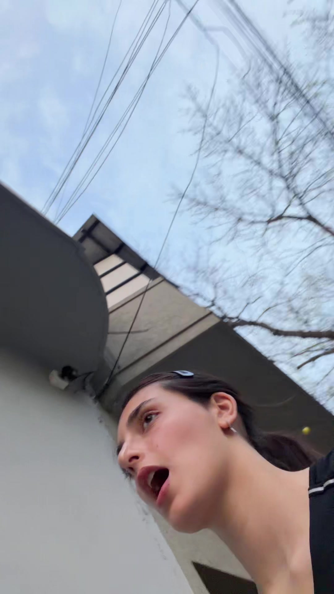 @sofia alfredi