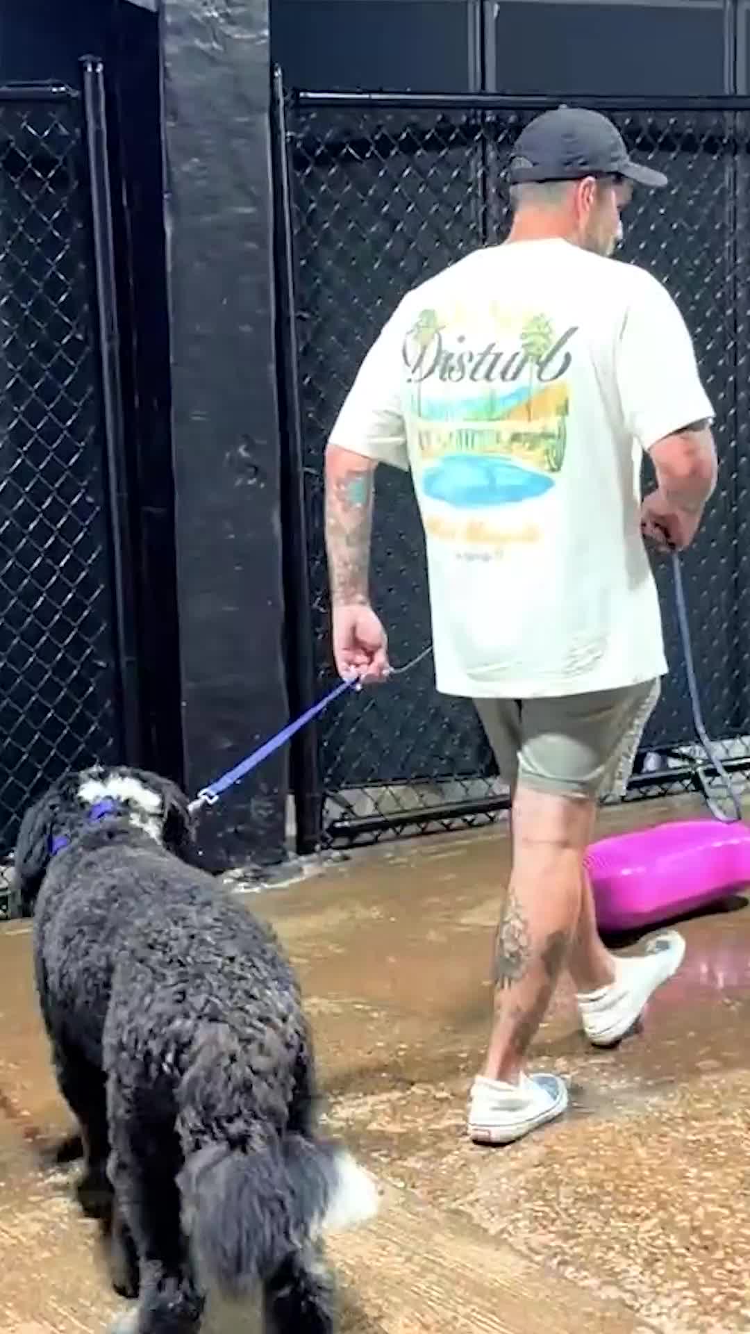 @Miracle K9 Training