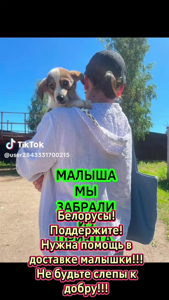 @Dama💃 s sobachkoy🐾💞🇧🇾