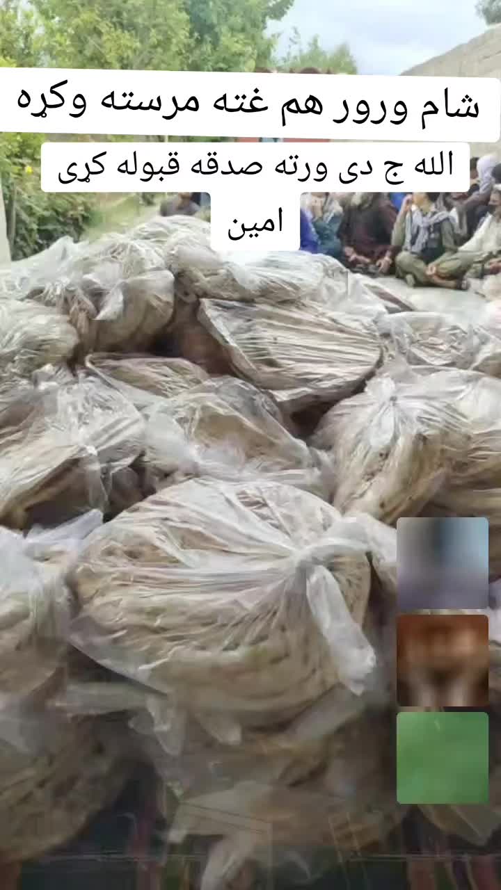 @majahidniazai