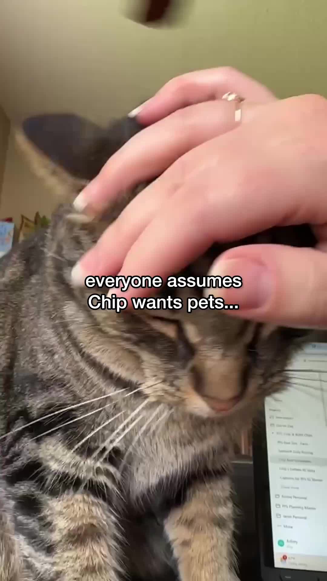 @Chip The Manx