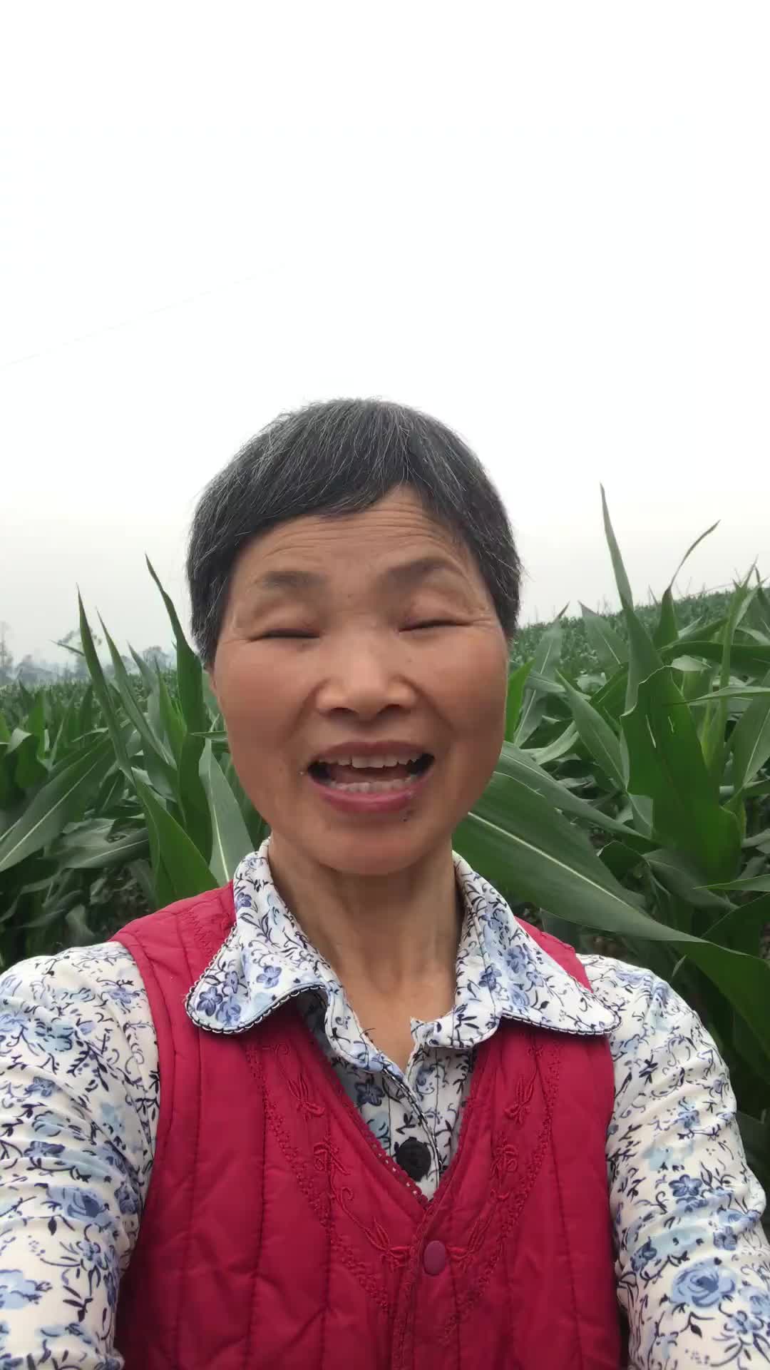 @grandma yan