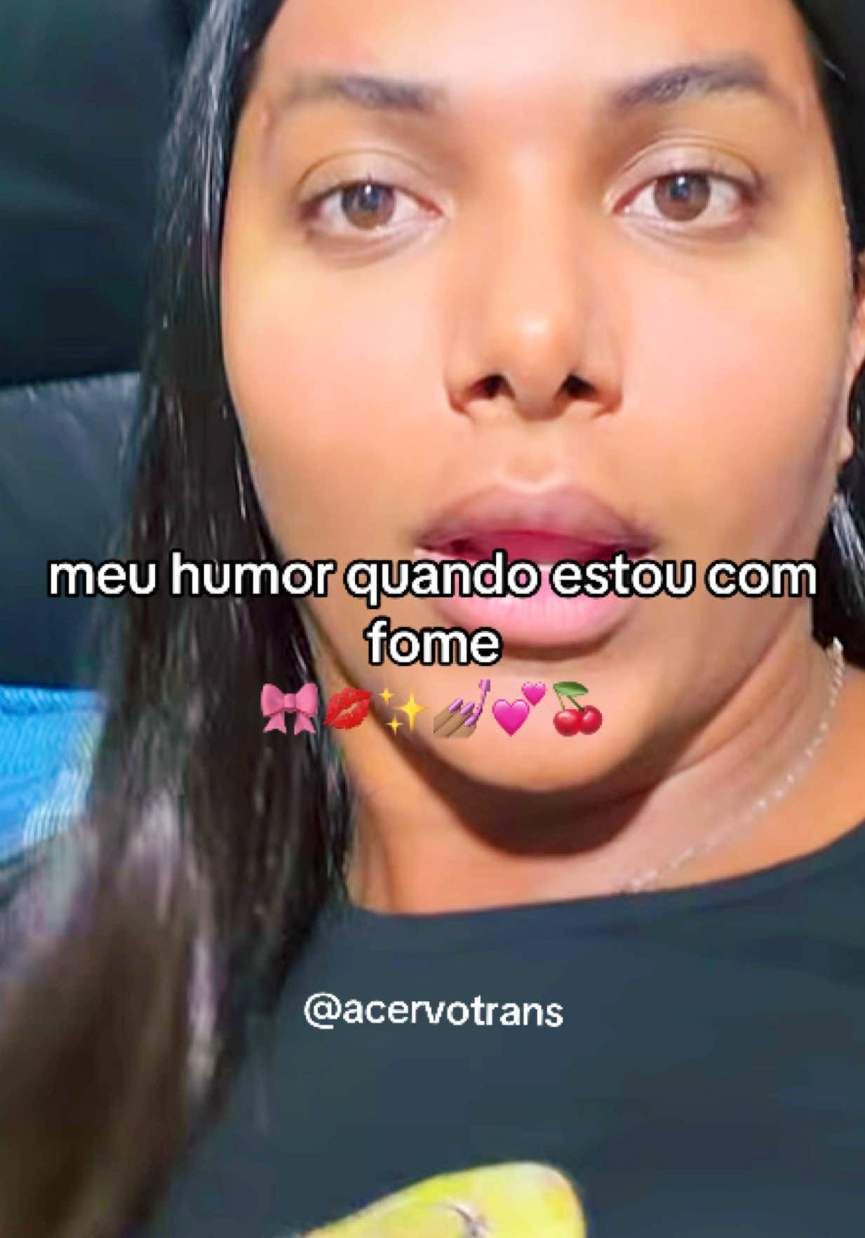 @acervotrans