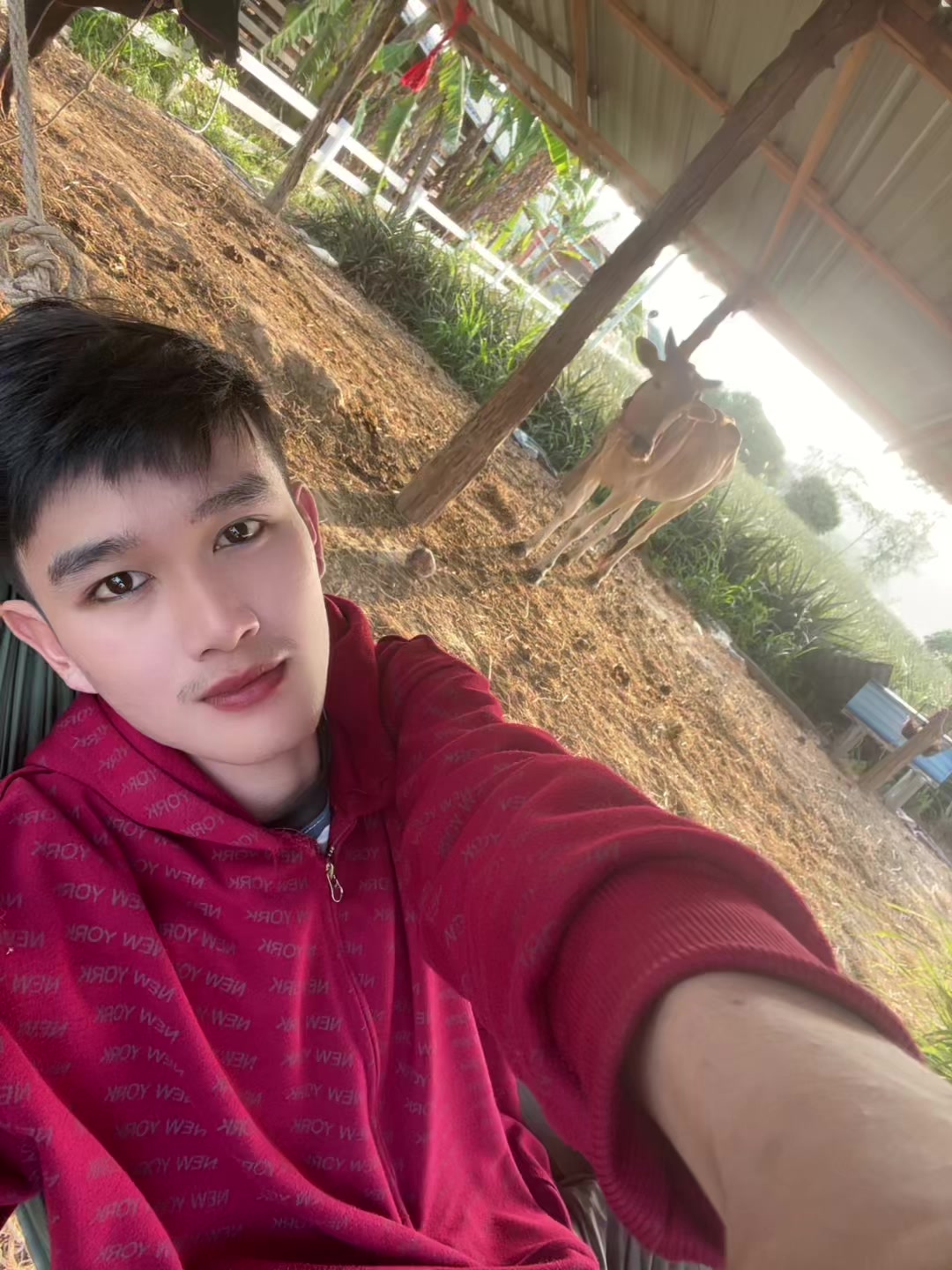 @ซัน&lsquo;ไบร์ท 🪢
