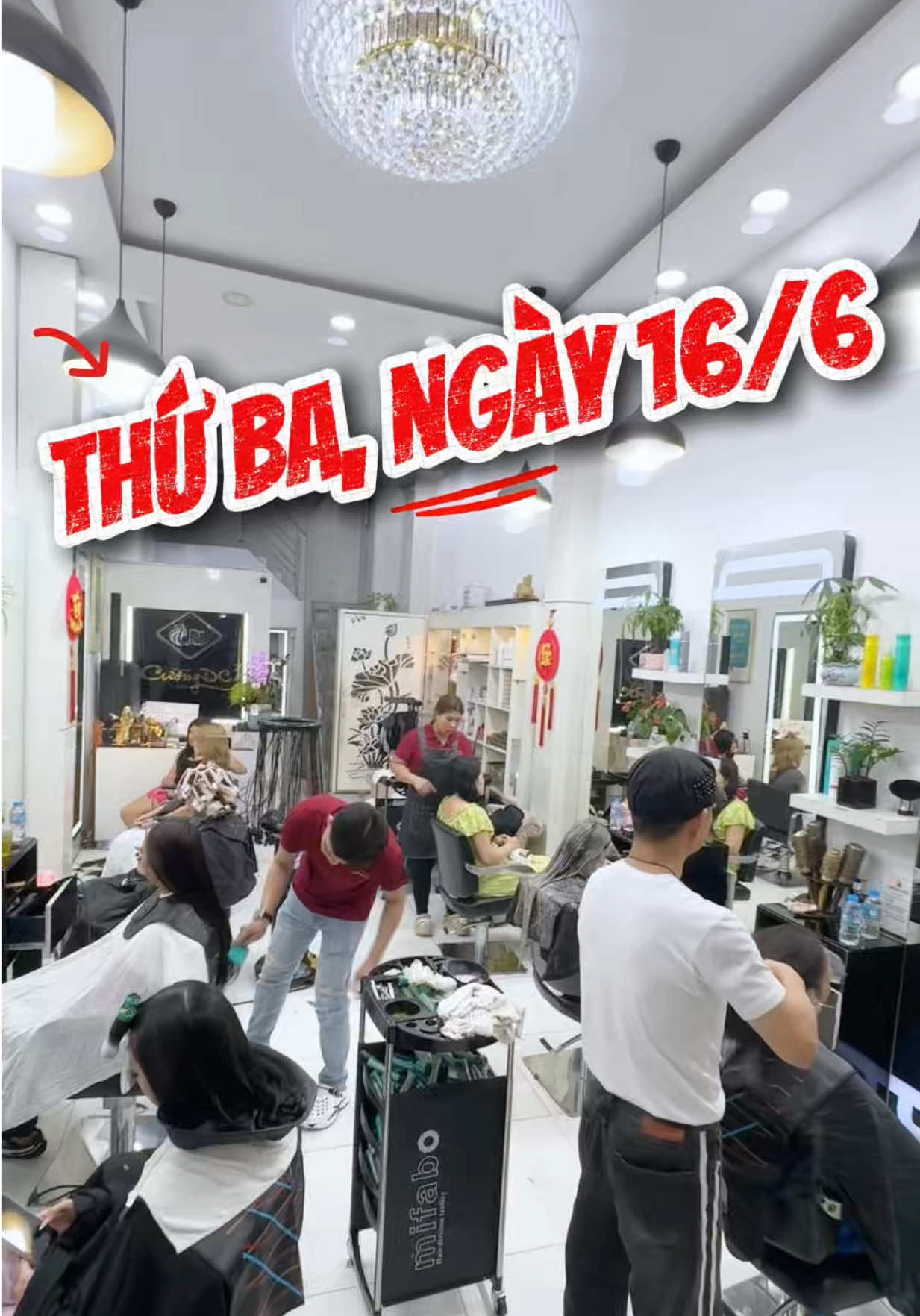 @SALON CƯỜNG DC