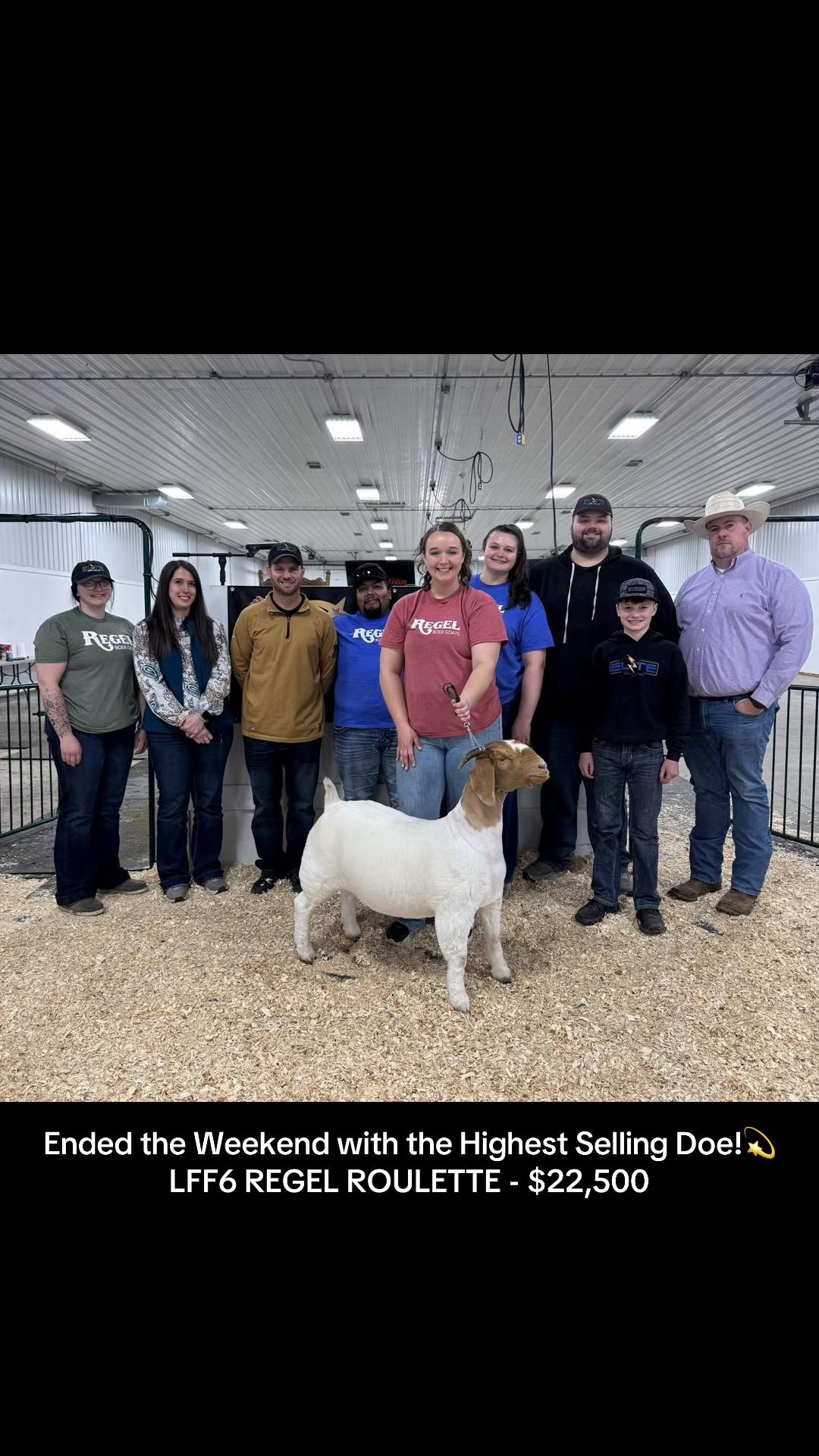@regelboergoats