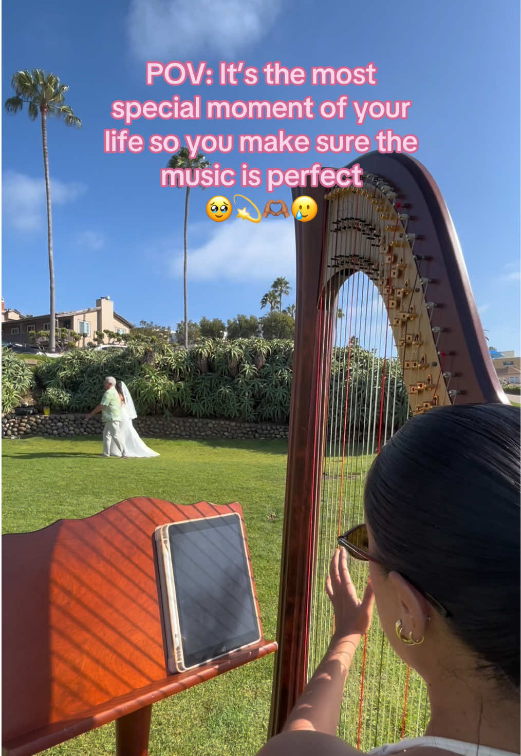 @betaniarodriguezharp