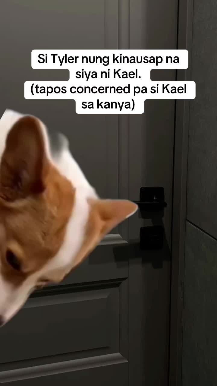 @chiki dog na bigay ni rade