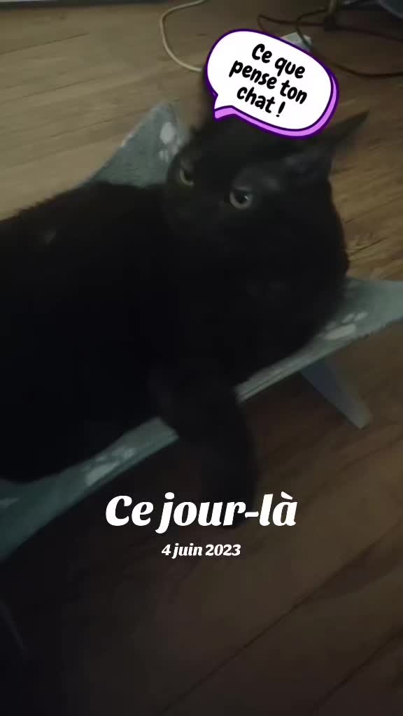 @Ludivine