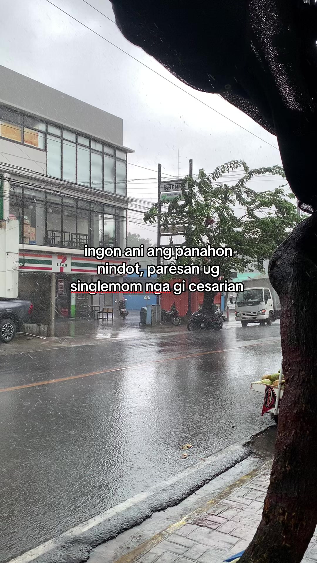 @MR.PISCES