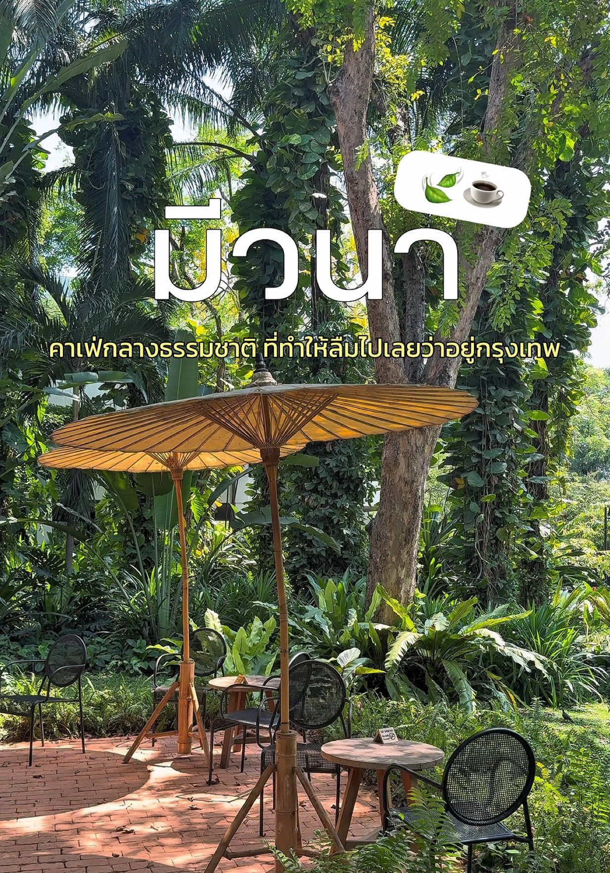 @ไหนรีวิว