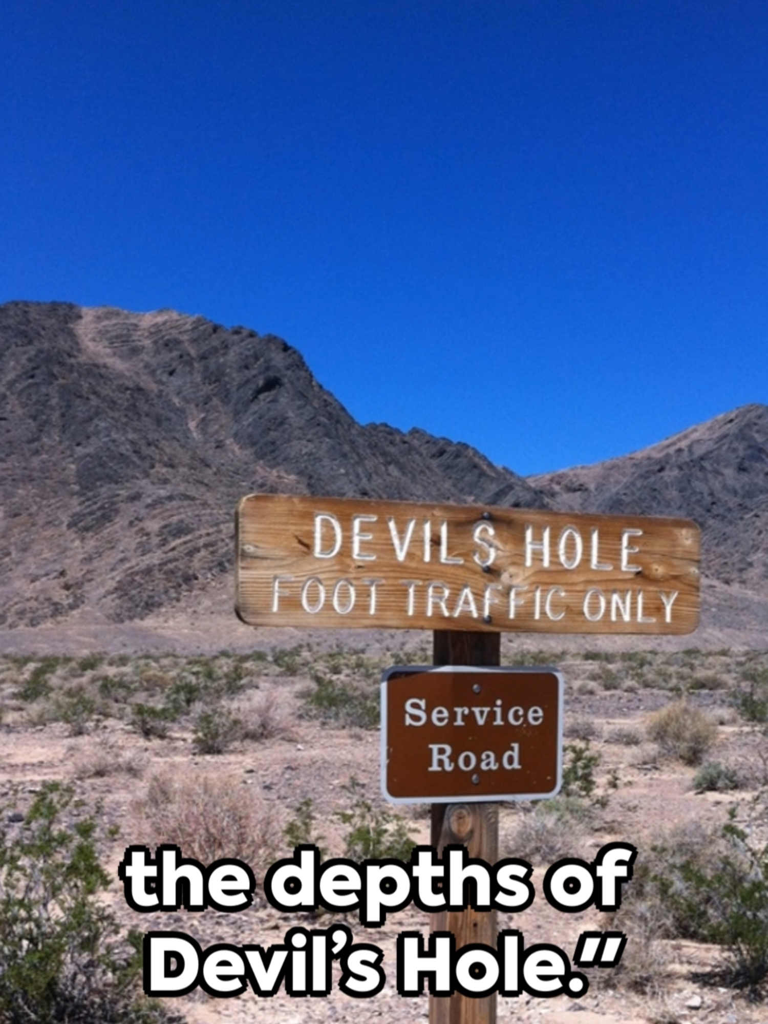 @CreepyAmerica