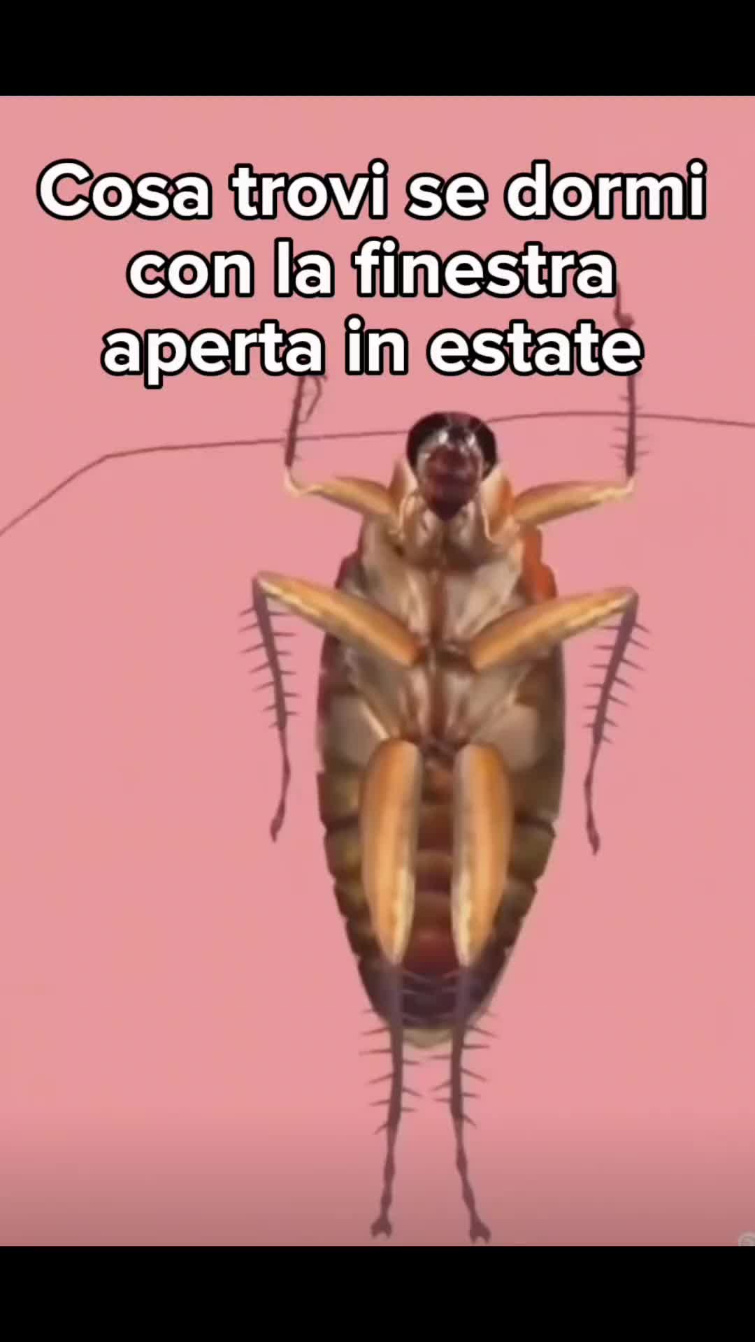 @aaacccoooouuunnnt