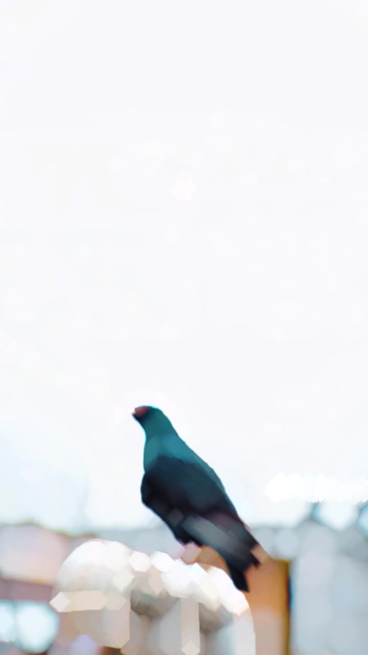 @Mr.රුවනා