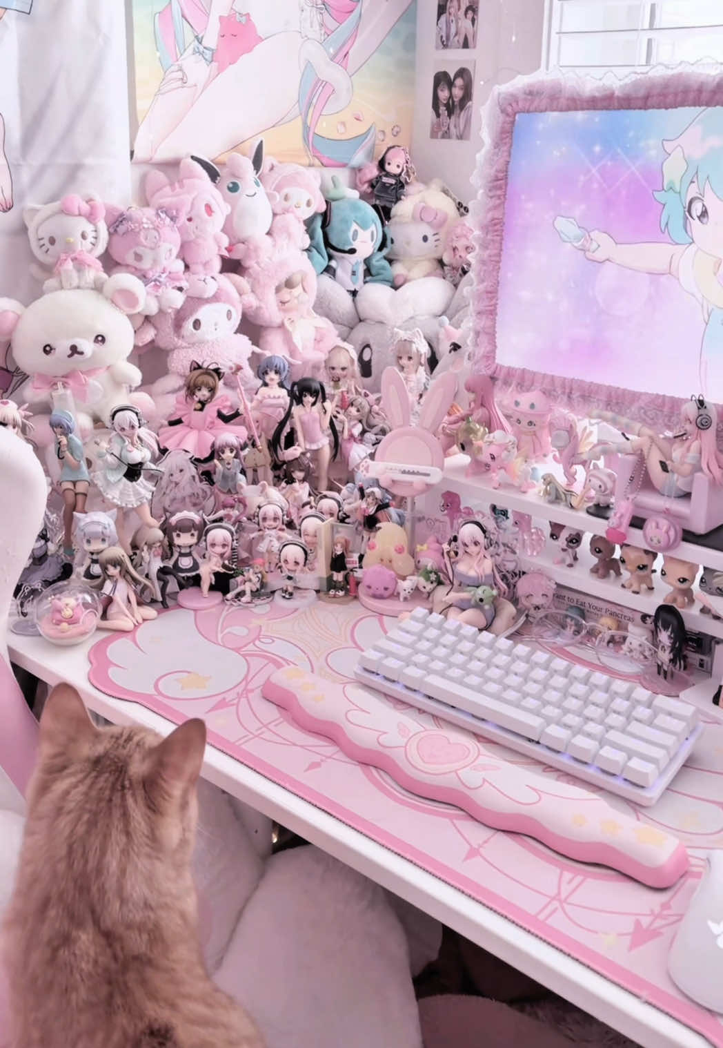 @cinna 𝜗𝜚