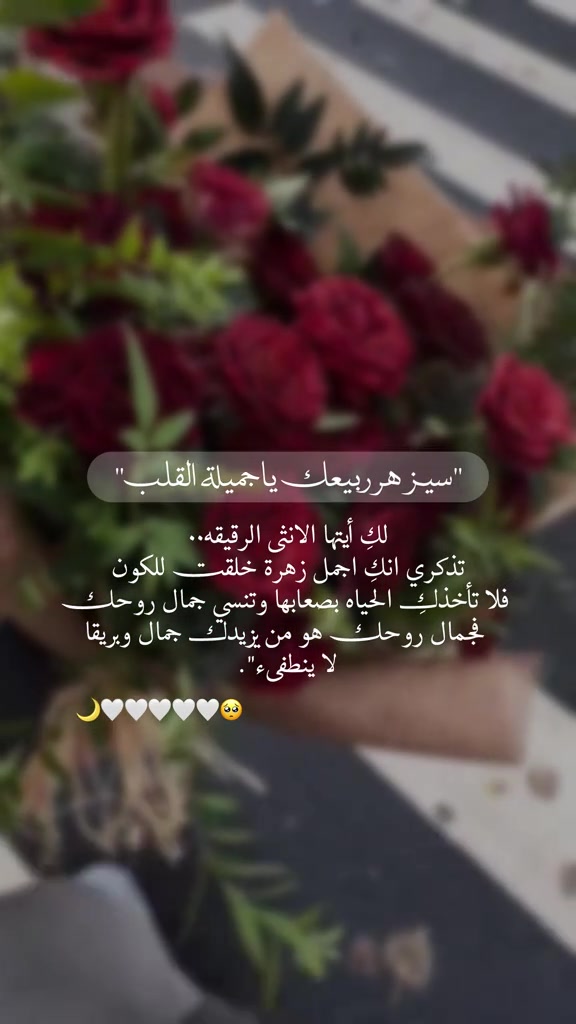 @❤️بنت جازان❤️