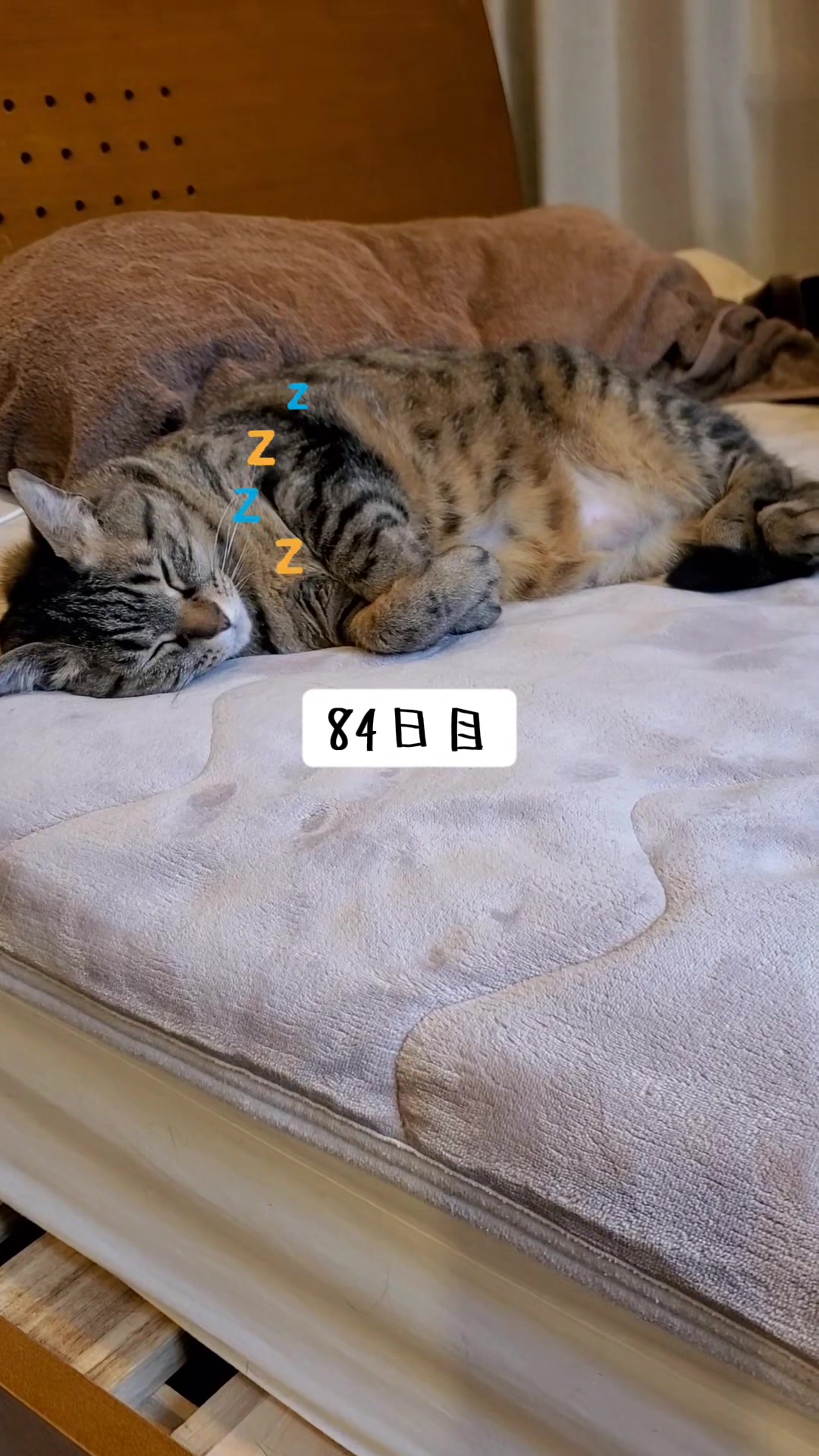 @😻kazuki😻